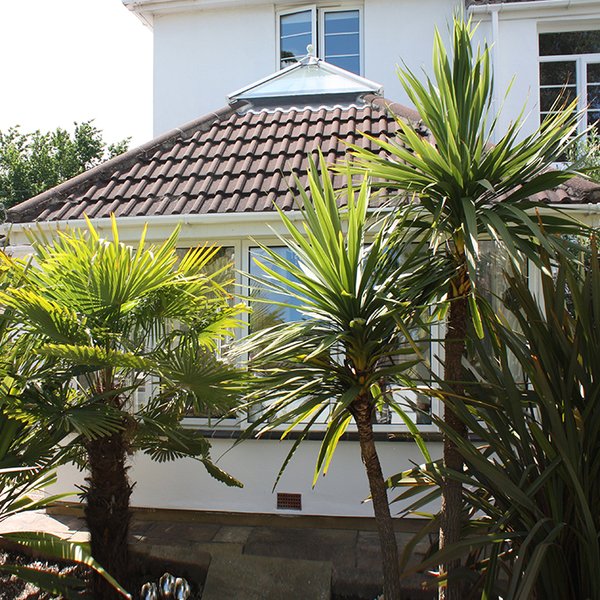 Gardenroom_web_small