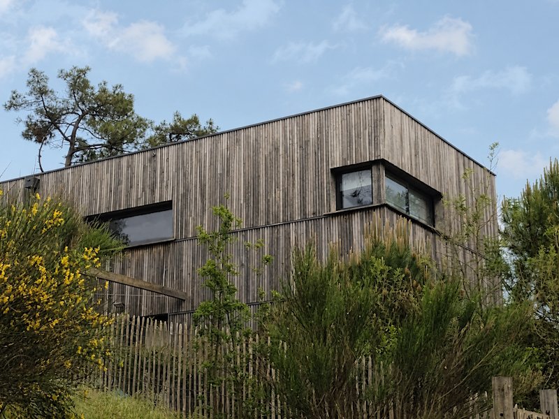 architectural use of real timber cladding